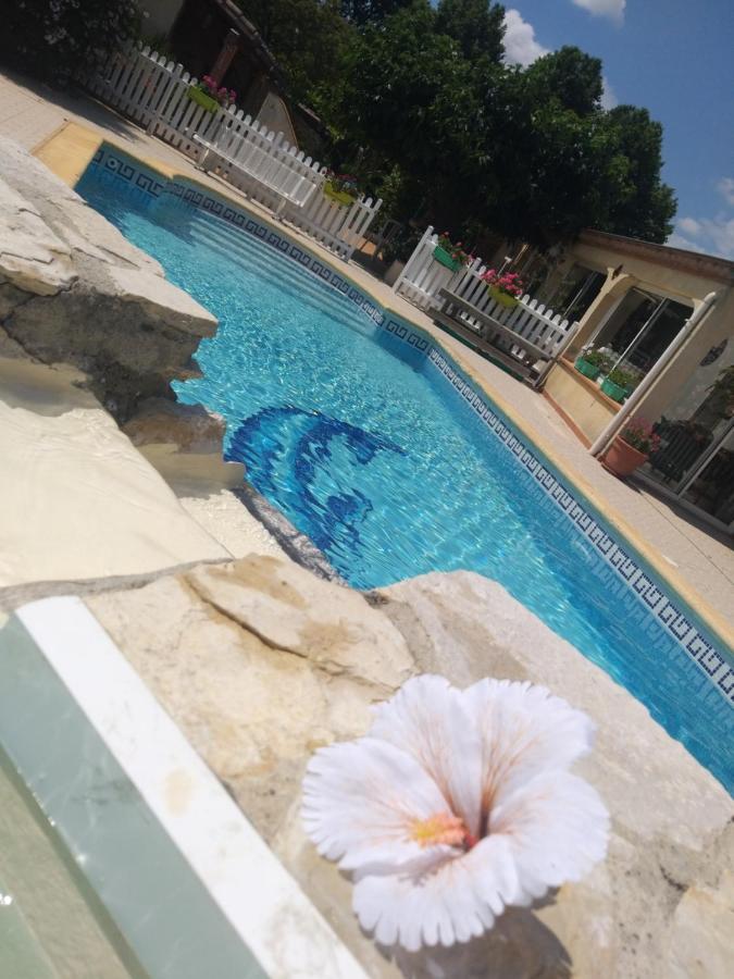 Gite T2 Avec Grande Piscine Apartamento Villeneuve-la-Comptal Exterior foto